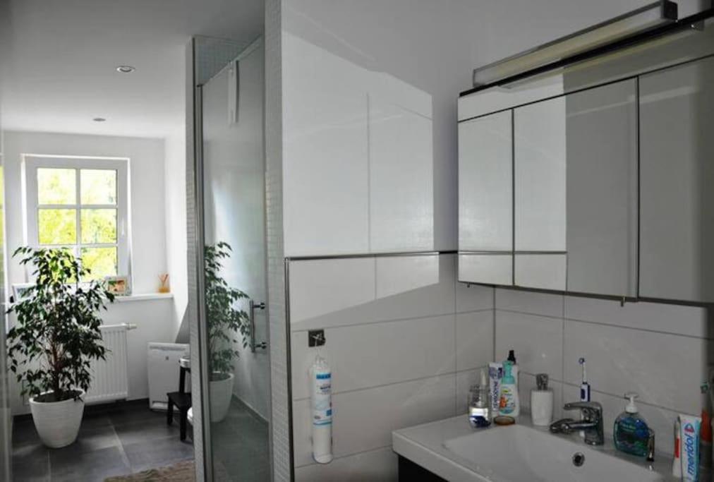 Wunderschoene Loft-Stadtwohnung Würzburg Exteriör bild