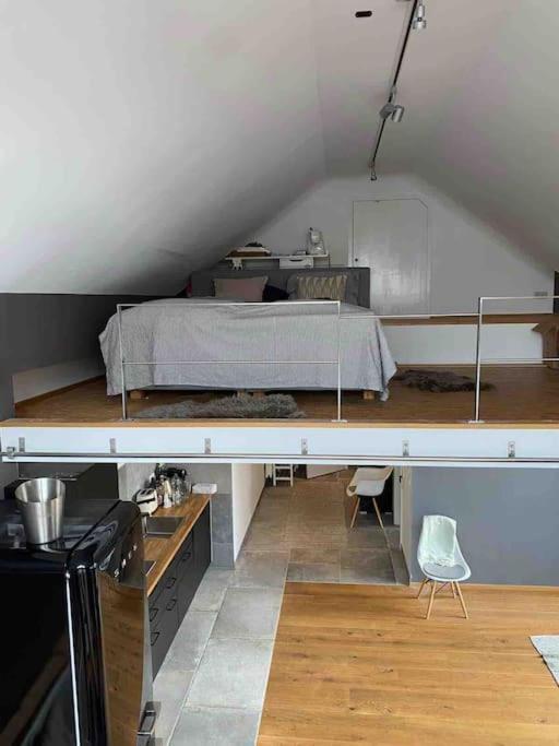 Wunderschoene Loft-Stadtwohnung Würzburg Exteriör bild